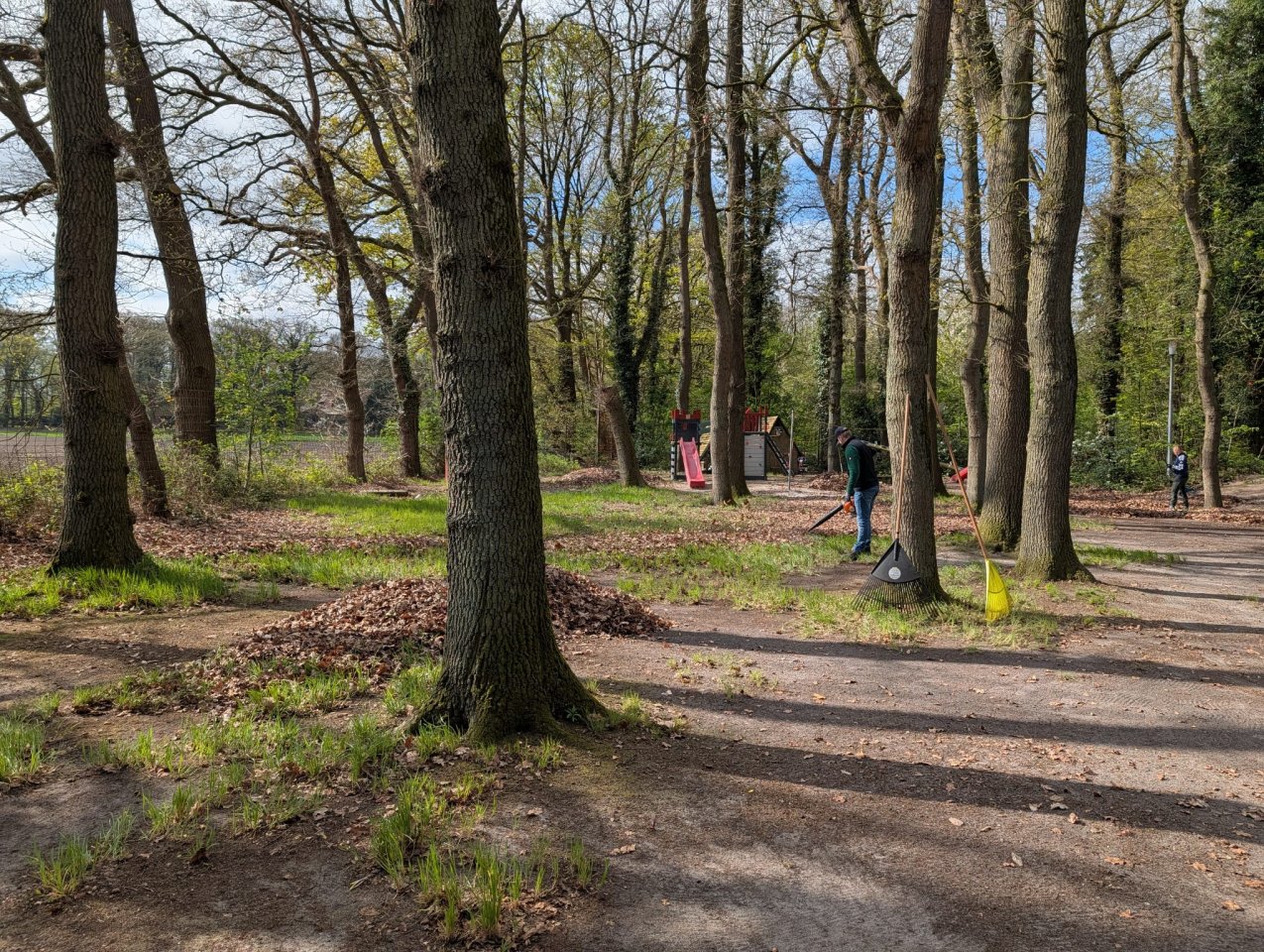 Wald fegen 2026